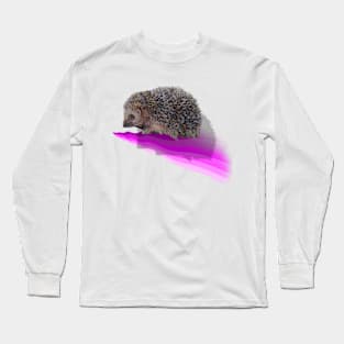 Painting of an English hedgehog on a 3D digital wave Long Sleeve T-Shirt